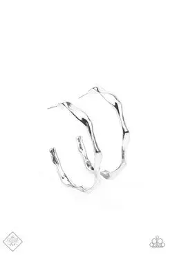 Paparazzi Coveted Curves - Silver - Fashion Fix 1