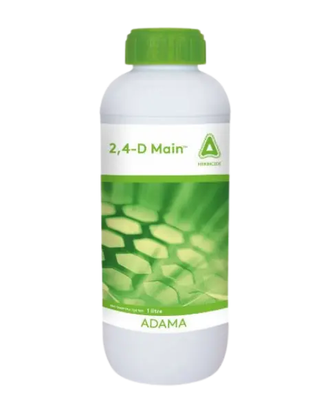 2,4-D Main Herbicide – Broad-Spectrum Weed Control For Multiple Crops 1