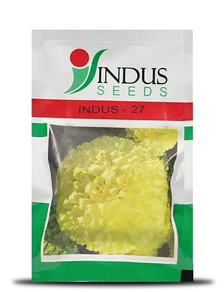 Indus 27 Marigold (गेंदा ) 1