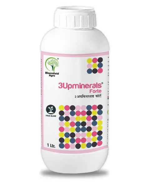 Bloomfield 3Upminerals Forte 1