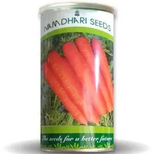 Ns 9905 F1 Carrot 1