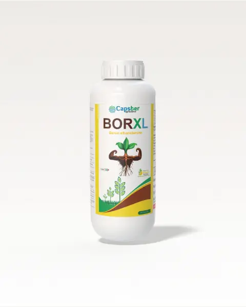 Capsber Borxl Micronutrient 1