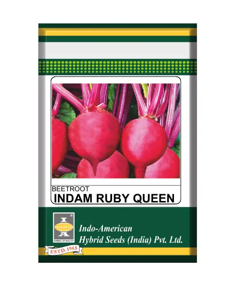 Iahs Beetroot Indam Ruby Queen Seeds 1