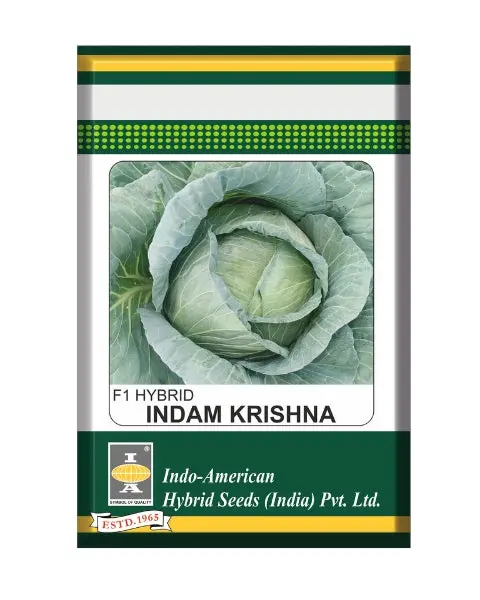 Iahs Indam Krishna Cabbage Seeds- Compact, Bluish Green, Globe Head 1