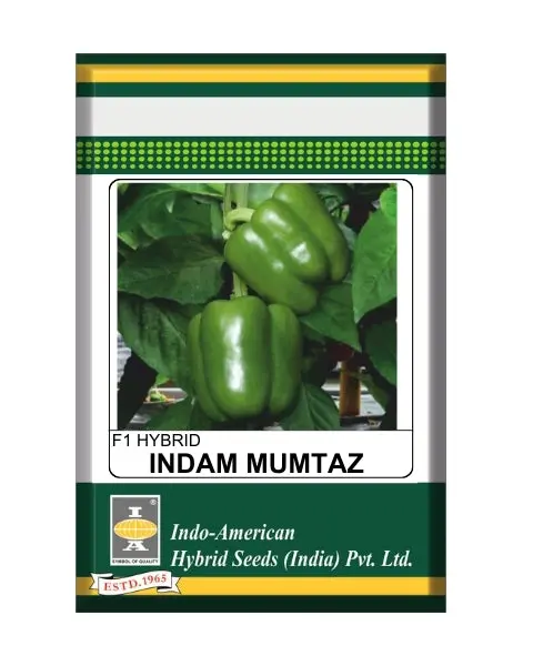Iahs Indam Mumtaz Capsicum Seeds- Medium Tall, Compact, Dark Green, Blocky Fruits 1