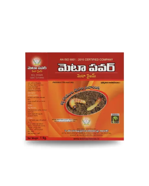 Kn Biosciences Meta Power Powder Bio Insecticide– Controls White Grubs, Termites & Many More Pests 1