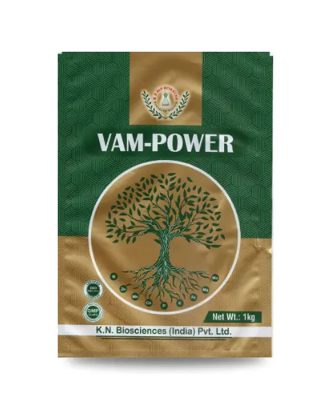 Kn Biosciences Vam Power Bio Fertilizers 1