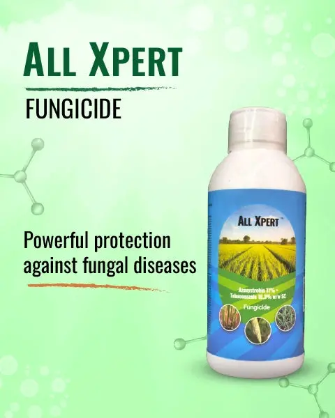 All Xpert Fungicide For Powdery Mildew, Rust, Blight Control (Azoxystrobin 11% + Tebuconazole 18.3% Sc) 1