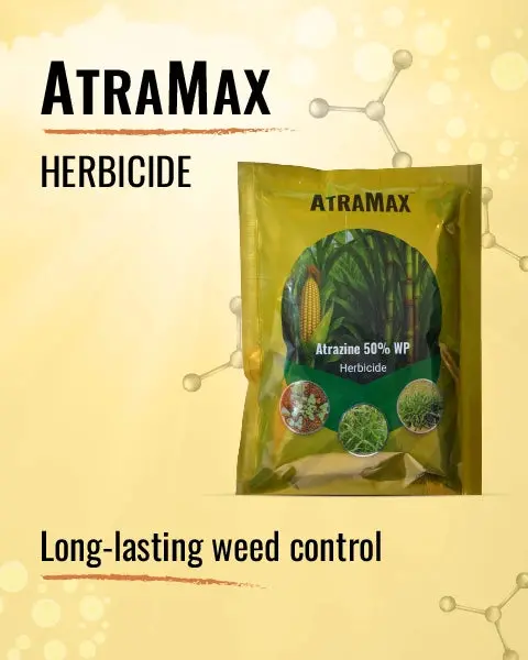 Atramax Herbicide (Atrazine 50% Wp) For Maize & Sugarcane: Pre Weed Control 1
