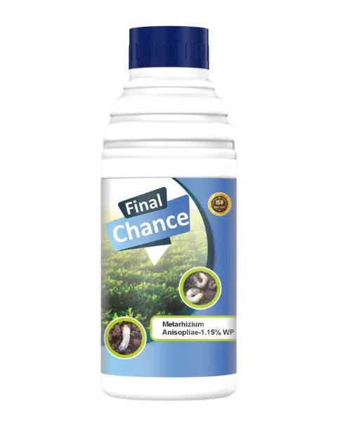 Agriventure Final Chance (Metarhizium Anisopilae) Best For White Grubs Bio Insecticides 1