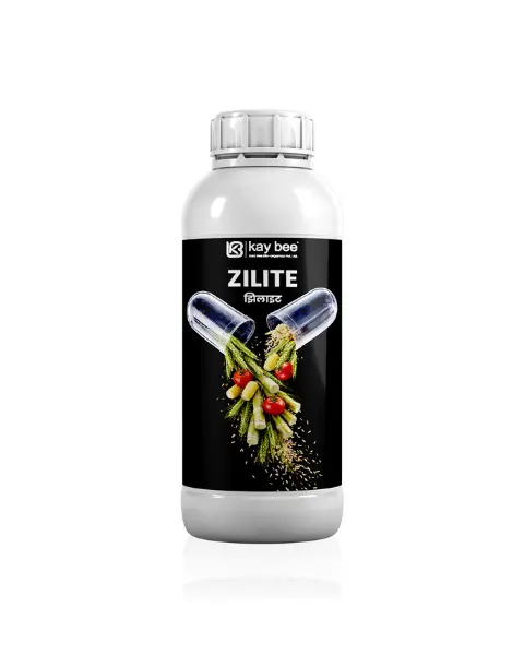 Kay Bee Zilite – Zinc Fertilizer For Plants (High Zinc 39.5% Sc) Fertilizers 1