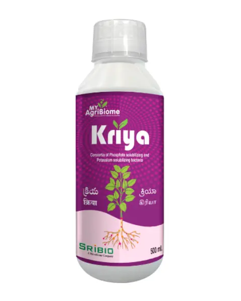 Sri Bio Kriya (Liquid) Bio Fertilizers 1