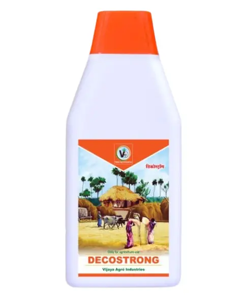 Vijaya Decostrong Compost 1