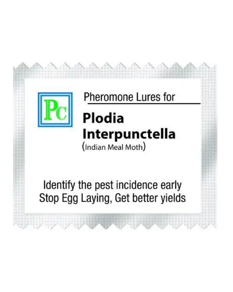 Pheromone Replacement Lures For Plodia Interpunctella  - 10Pack 1