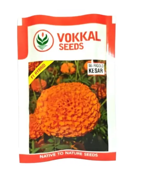 Vokkal Kesar Marigold Seeds 1