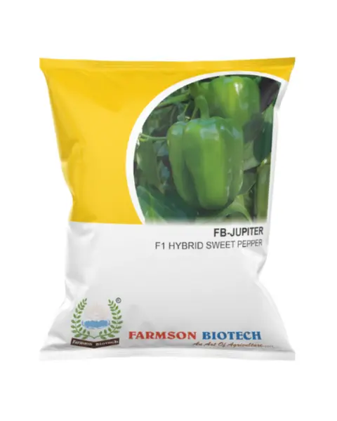 Fb Jupiter F1 Hybrid Capsicum Seeds 1