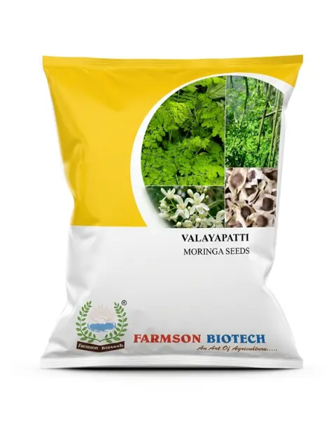 Fb Valayapatti (Moringa) Drumstick Seeds 1