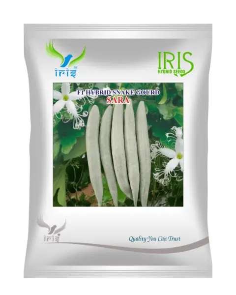 Iris Hybrid F1 Snake Gourd Sara Snake Gourd Seeds 1