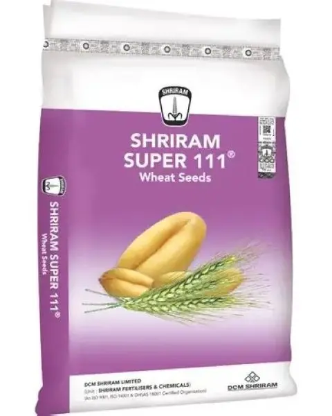 Shriram Super 111 (40 Kg) Wheat Seeds 1