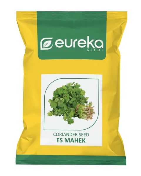Eureka Es Mahek Improved Coriander Seeds 1