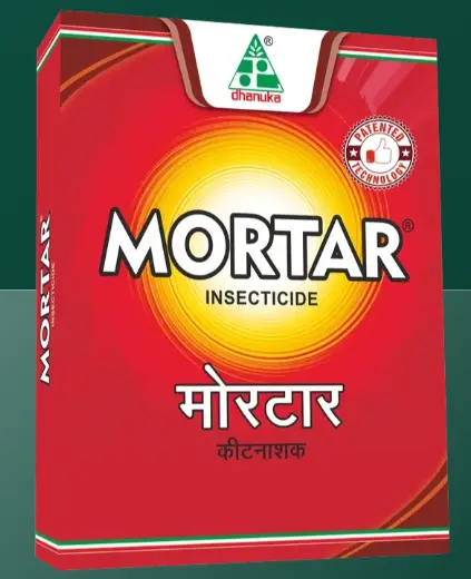 Mortar Insecticides 1