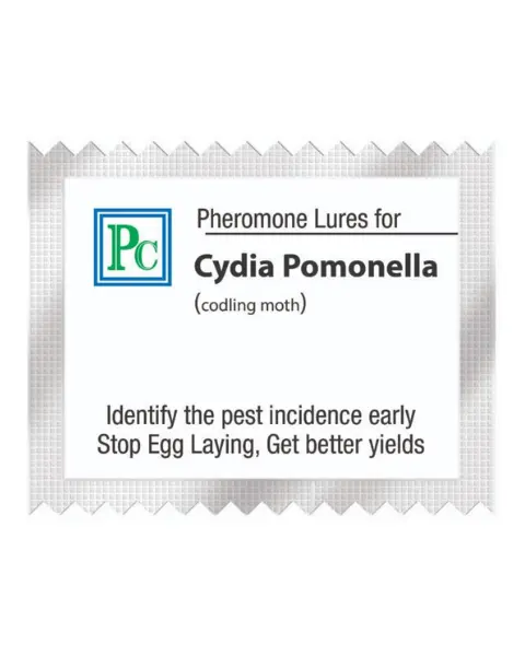 Pheromone Replacement Lures For Cydia Pomonella (Codling Moth) - 10Pack 1