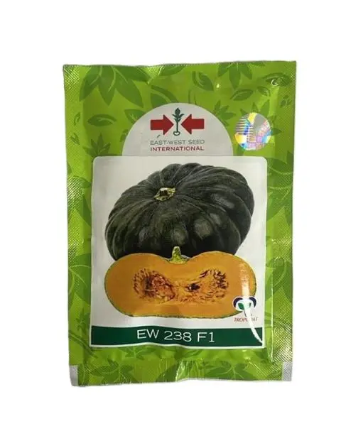 Pumkin Ew 238 F1 Pumpkin Seeds 1