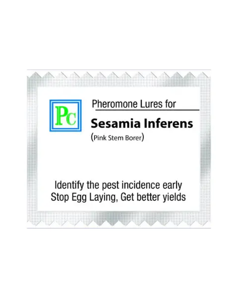 Pheromone Replacement Lures For Sesamia Inferens - 10Pack 1
