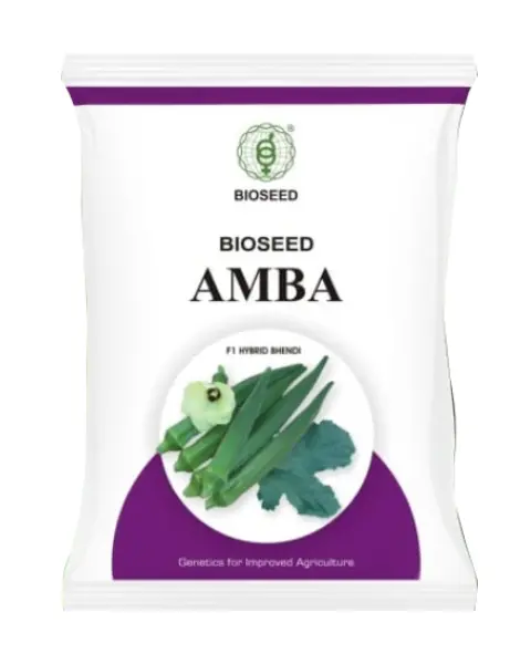 Amba Bhendi Seeds 1