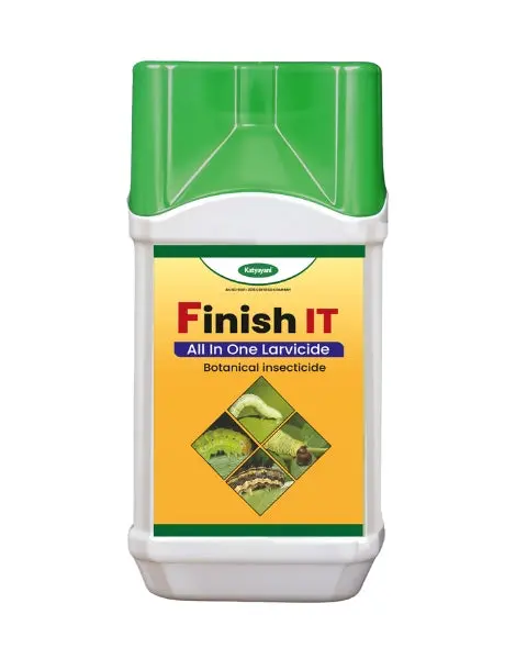 Katyayani Finish It 1