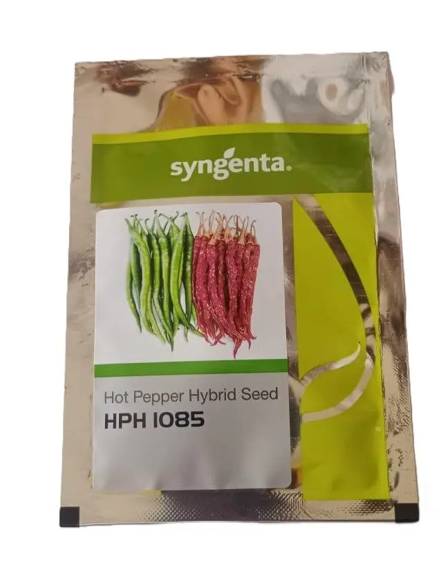 Syngenta Hph 1085 Chilli Seeds 1