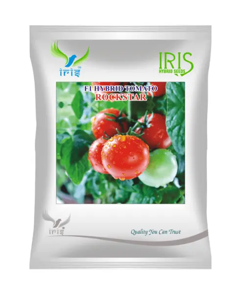 Iris Hybrid F1 Tomato Rockstar Tomato Seeds 1