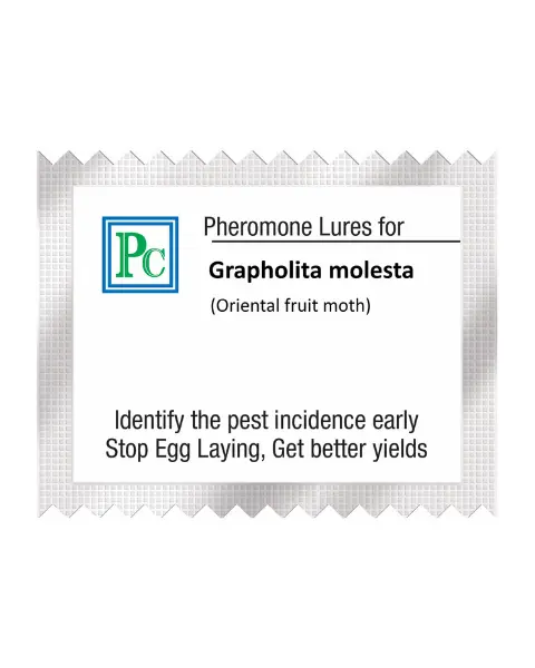 Pheromone Replacement Lures For  Grapholita Molesta (Oriental Fruit Moth) - 10Pack 1