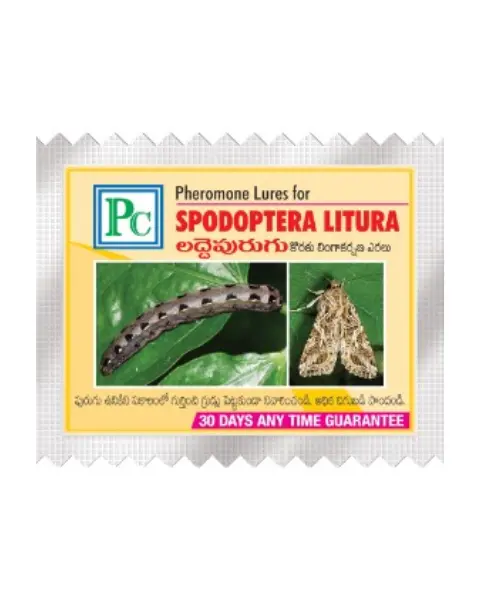 Pheromone Replacement Lures For Combo Pack For ( Cabbage / Cauliflower / Mustard ) 24 Pack 1