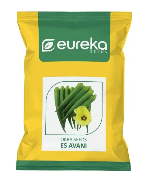 Eureka Okra Es Avani Improved Bhendi Seeds 1