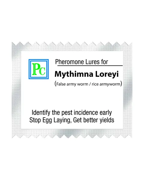 Pheromone Replacement Lures For Mythimna Loreyi (False Armyworm) - 10Pack 1