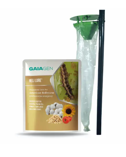 Gaiagen Heli® Lure Combo Pack - Pheromone Lure For American Bollworm (Helicoverpa Armigera) & Insect Funnel Trap (Fero-T® Trap) | Includes - 10 Heli Lures® & 10 Fero-T® Traps 2