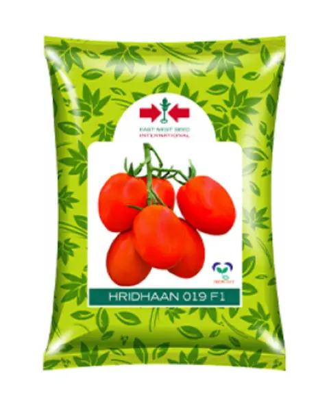 Hridhaan 019 F1 Tomato Seeds 1