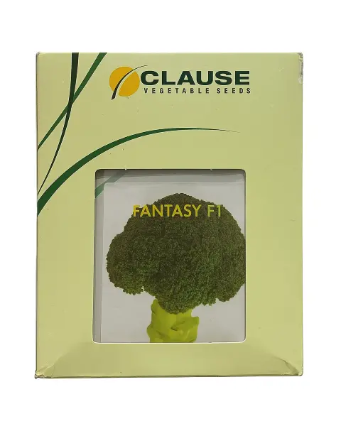 Fantasy F1  - Broccoli 1