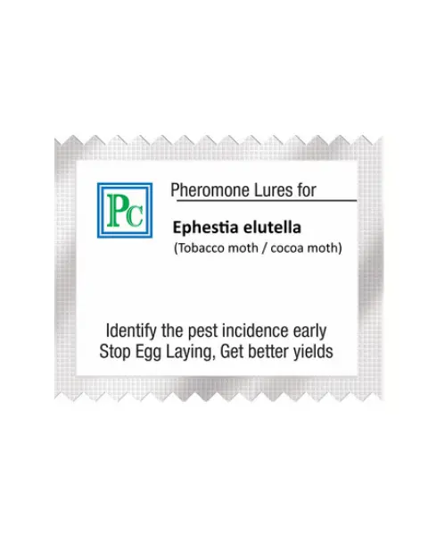 Pheromone Replacement Lures For Ephestia Elutella(Warehouse Moth / Tobacco Moth) - 10Pack 1