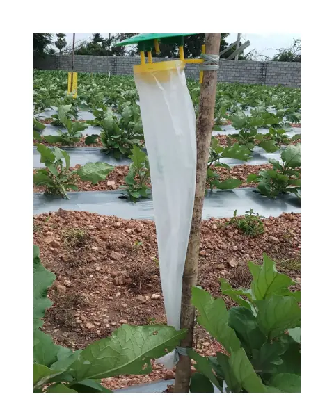 Pheromone Trap And Lure Complete Set For Spodoptera Frugiperda (Fall Armyworm) Traps & Lures 2
