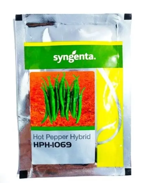 Hph 1069 Chilli Seeds 1