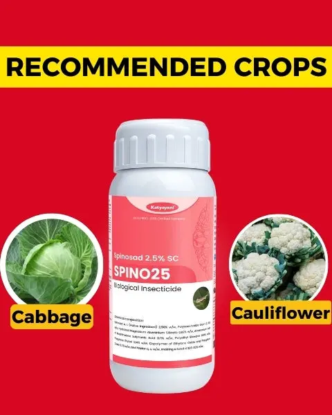 Katyayani Spino 25 (Spinosad 2.5% Sc) – Effective Insecticide For Pest Control 3