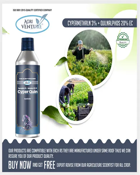 Agriventure Cyper Quin (Cypermethrin 3% + Quanialphos 20%) Insecticides 3