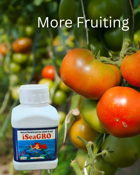 Vm Cropcare Iseagro Biostimulants 2