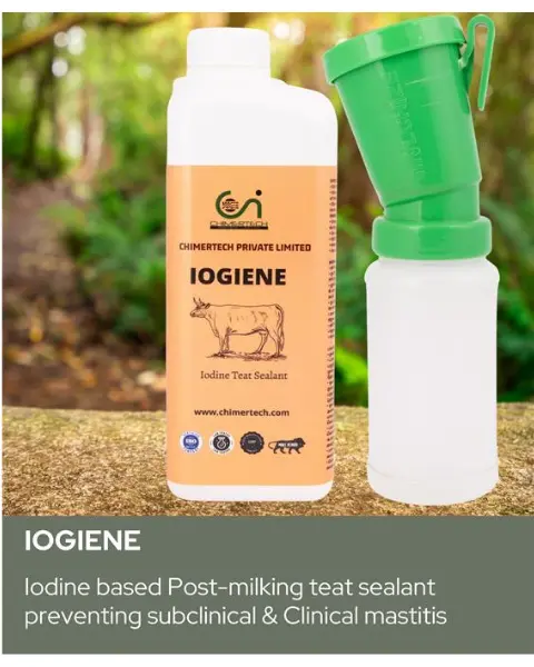 Chimer Iogiene- 1% Iodine(Mastitis Prevention) 3