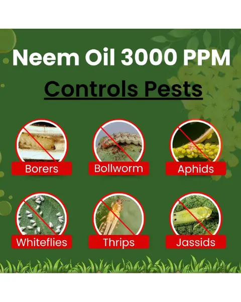 Katyayani Dr. Neem Pure Oil Insecticide 3000 Ppm 4