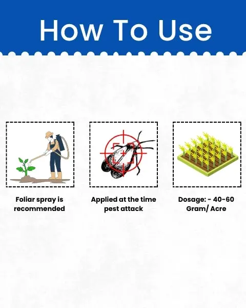 Katyayani K-Acepro (Acetamiprid 20% Sp) - Insecticides 5
