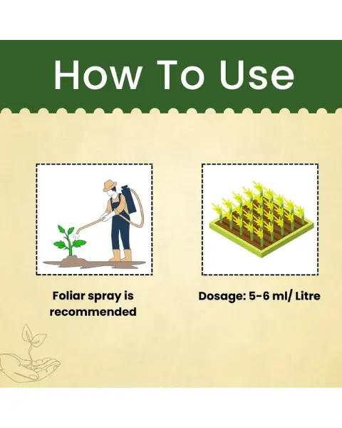 Katyayani Dr. Neem Pure Oil Insecticide 3000 Ppm 5