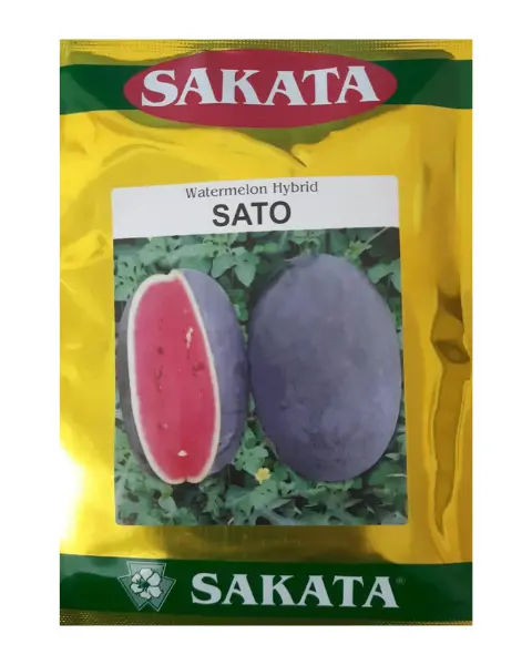 Sato F1 Watermelon Seeds 1